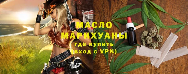 индика Гусь-Хрустальный